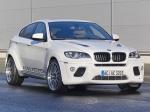 BMW ACS6 3.5d Falcon by AC Schnitzer 2009 года